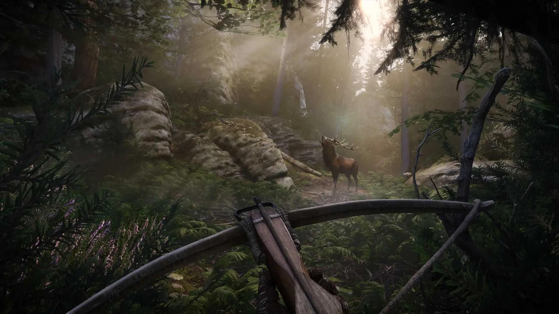Animal Screenshot