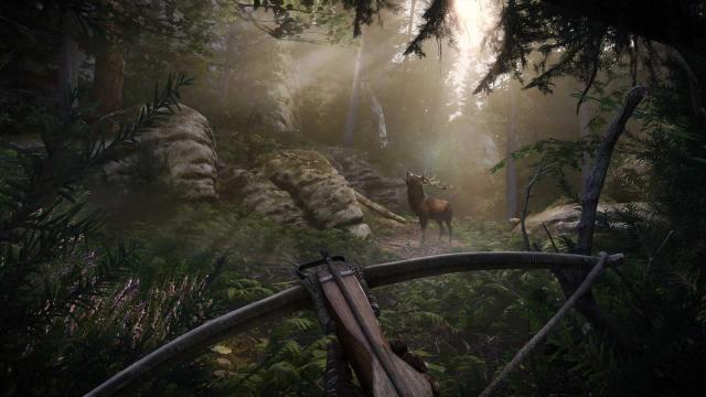 Animal Screenshot